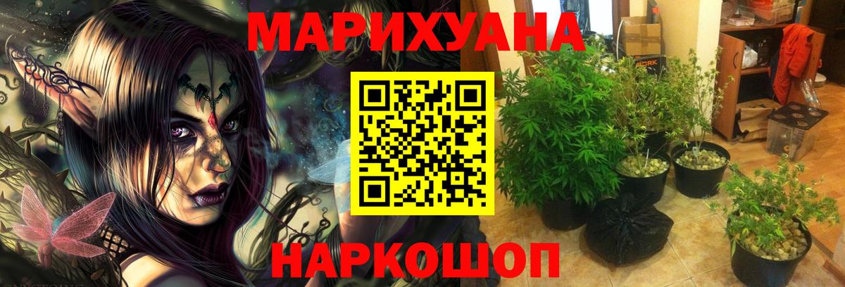 Бошки марихуана марихуана Находка