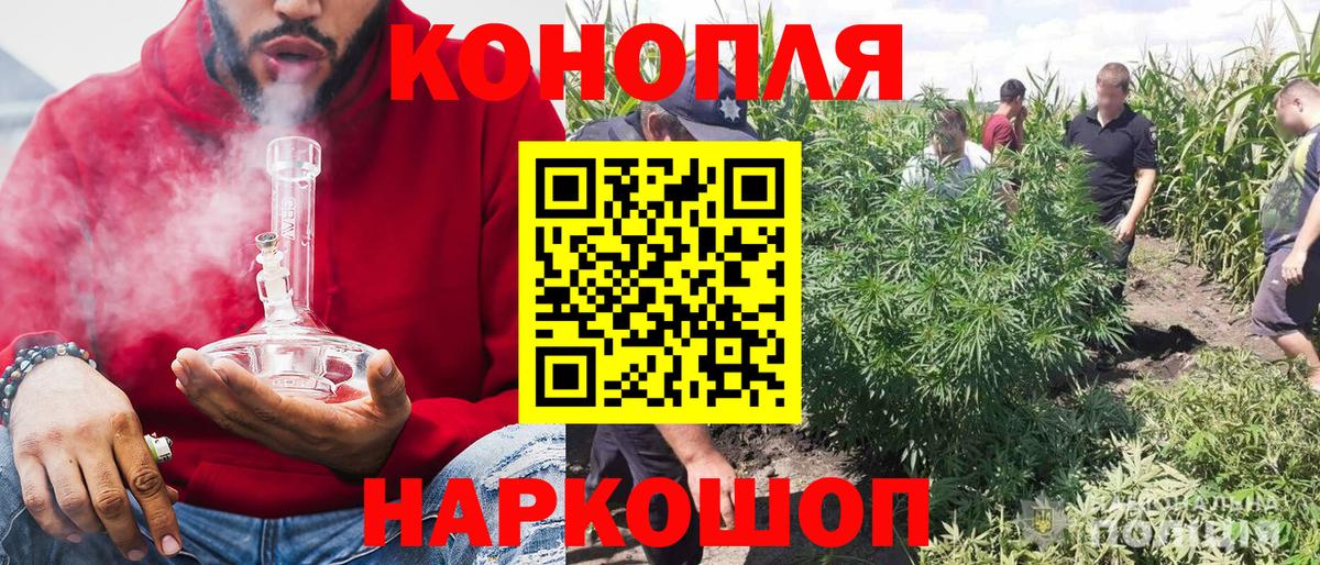 Канабис планчик  Канабис SATIVA & INDICA  Находка  Канабис планчик  МАРИХУАНА White Widow  Вход с VPN 